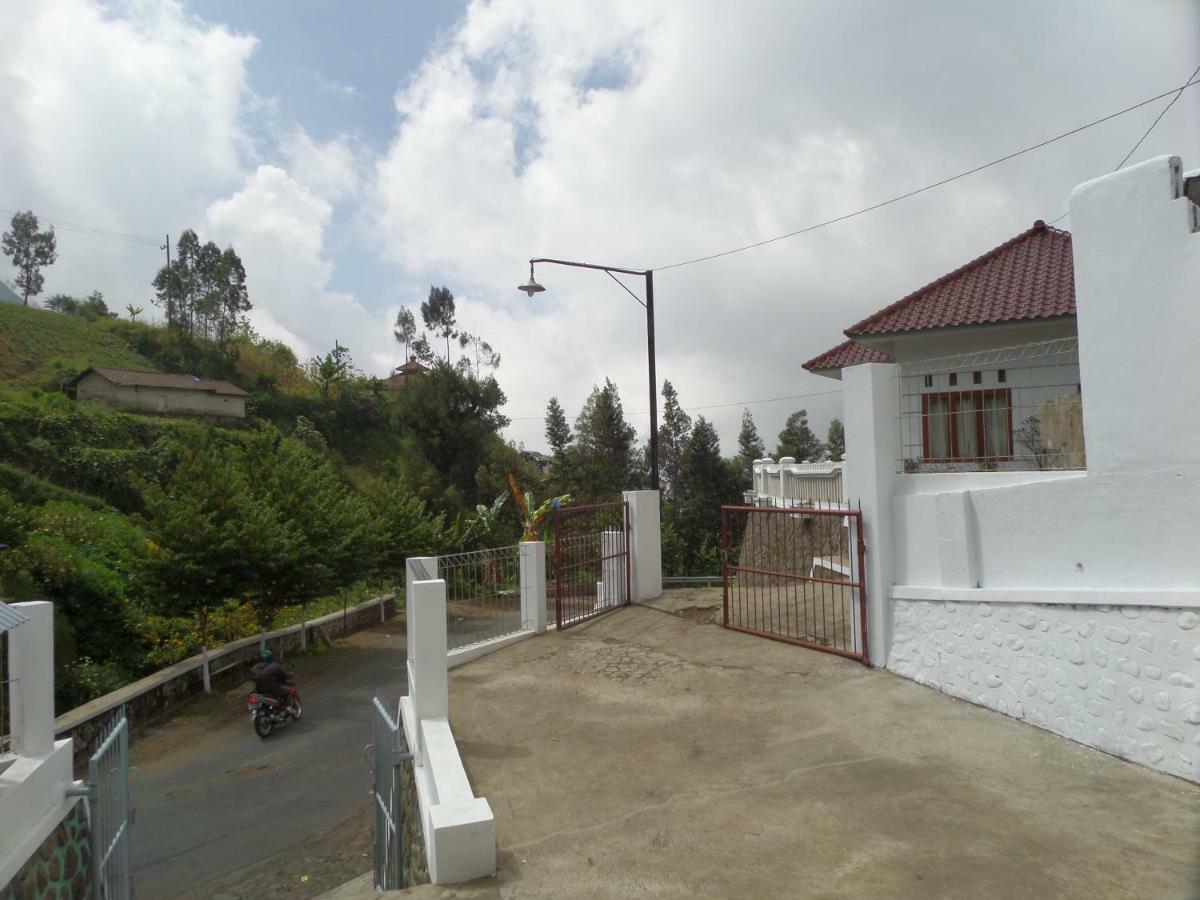 Savana Guesthouse Bromo Exterior foto